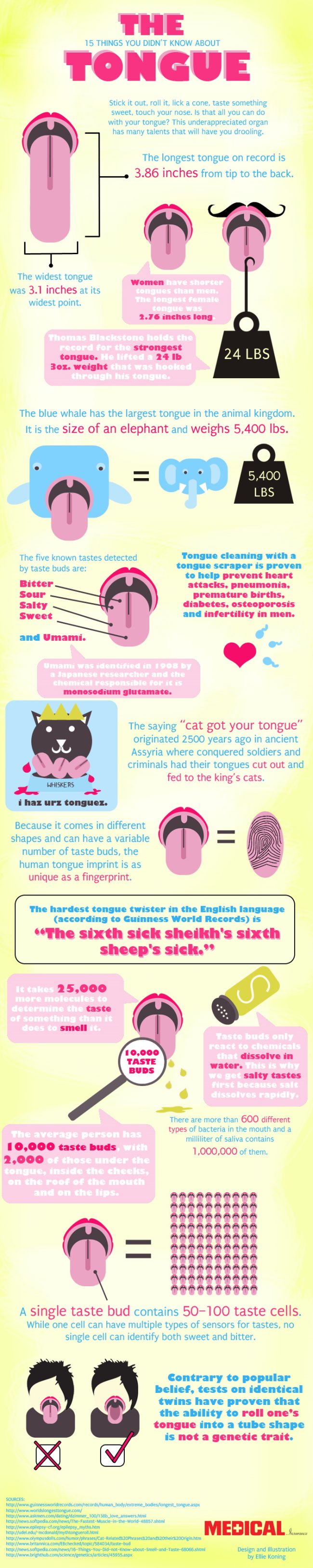 15 Facts about the human tongue