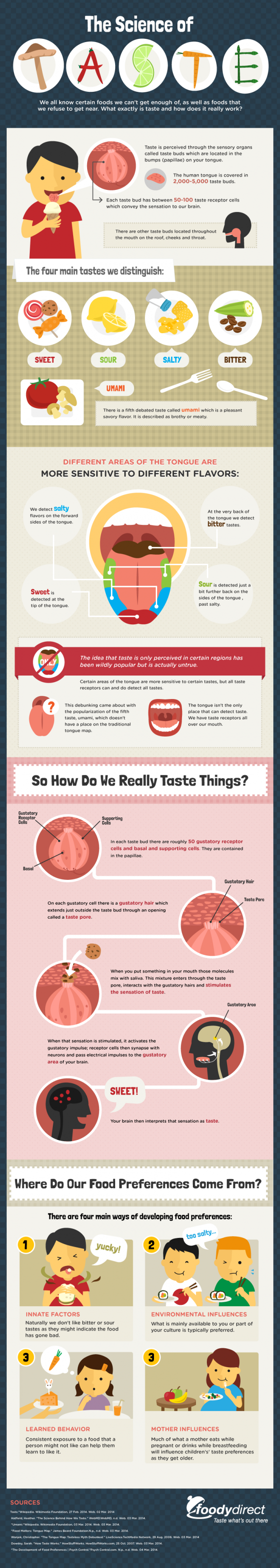 the-science-of-taste-infographic
