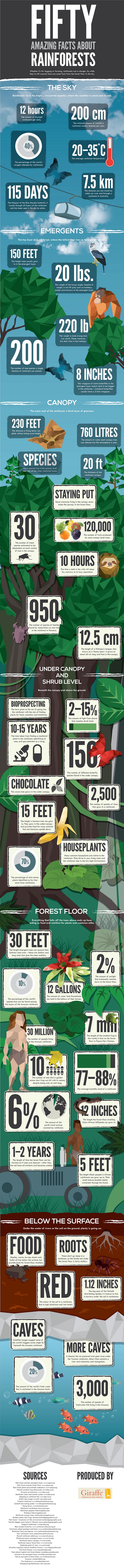 50 Amazing Facts About Rainforests [Infographic]