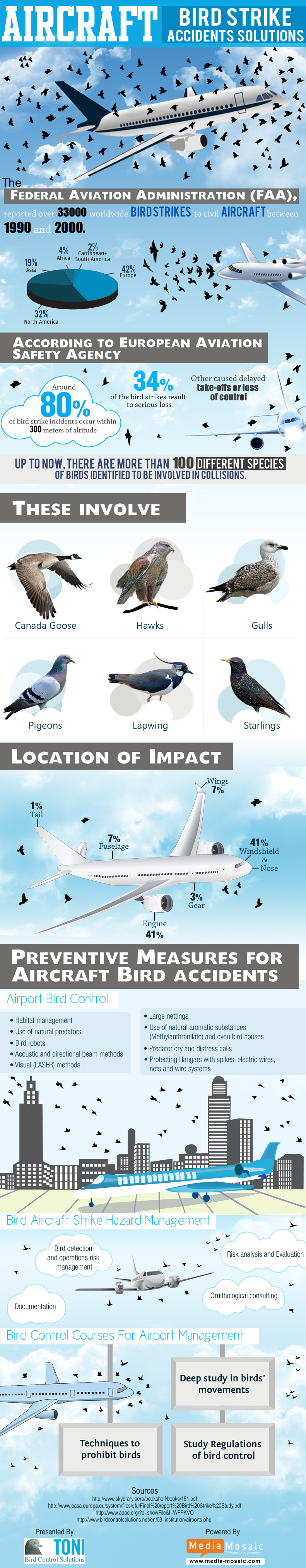 Aircraft-Bird Strike Accidents Solutions