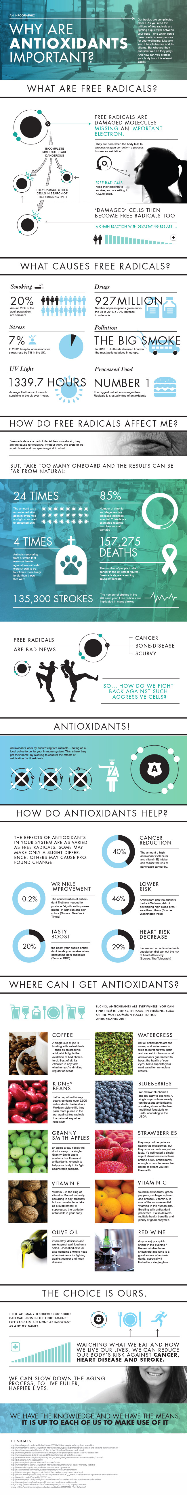 Are Antioxidants Important?