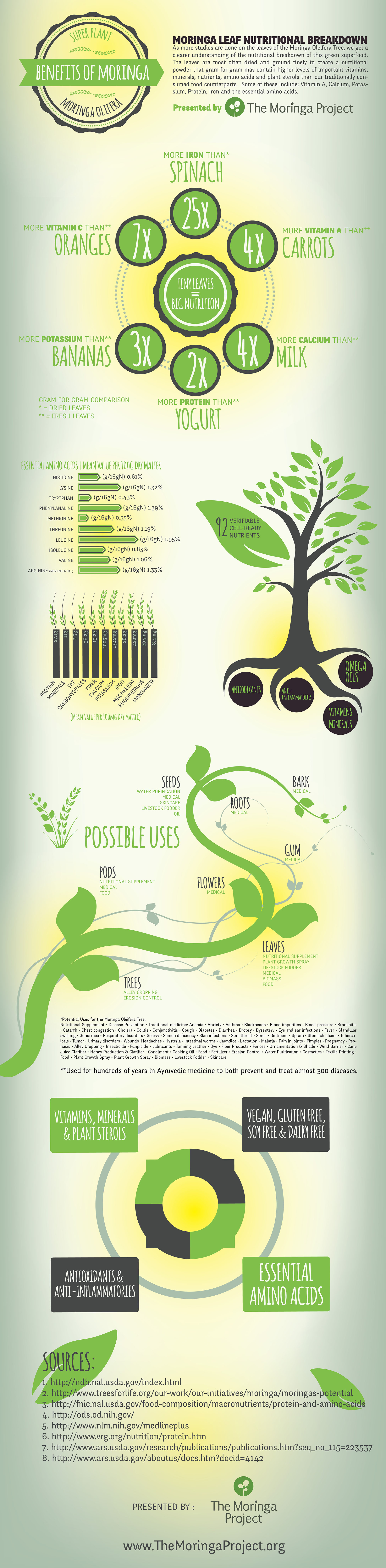 Moringa Benefits Infographic