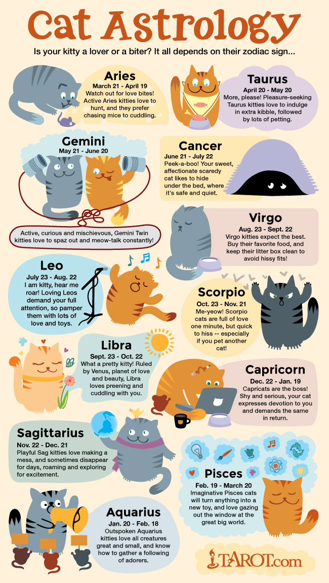Cat Astrology: Cat Traits by Zodiac Sign