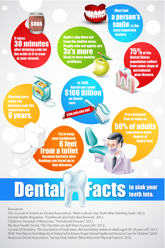 Dental Facts To Sink Your Teeth Into