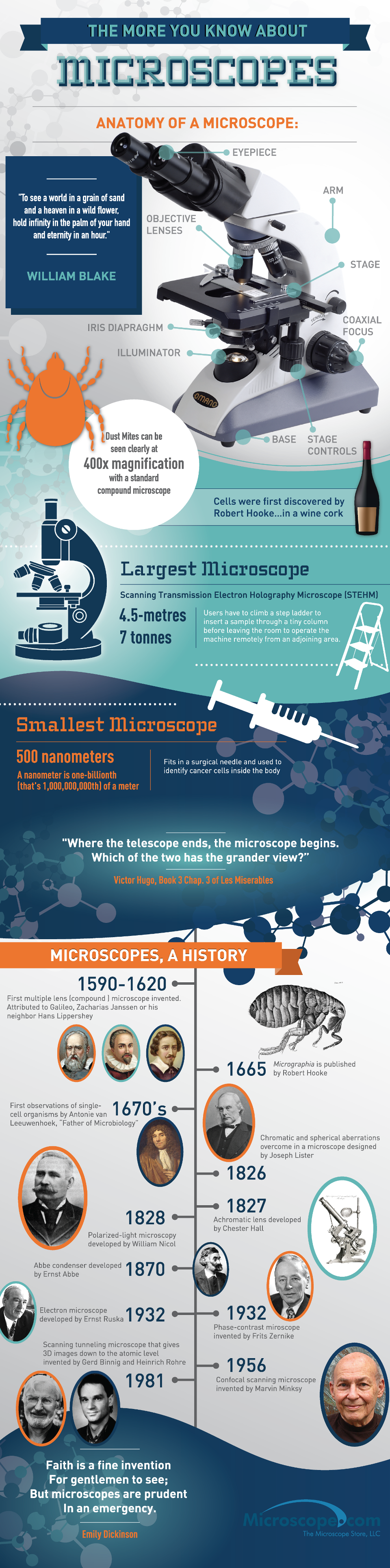 Anatomy Of A Microscope